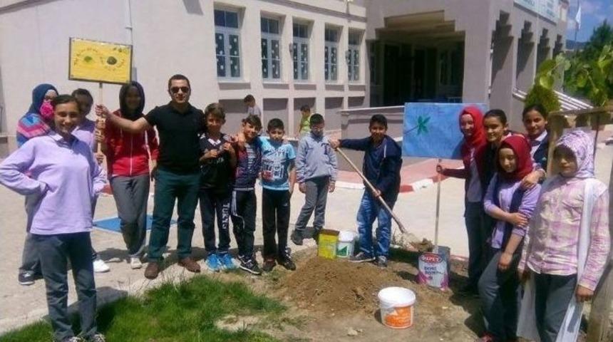 Okul Bah&ccedil;esinde Doğa Temalı İngilizce Sloganlar