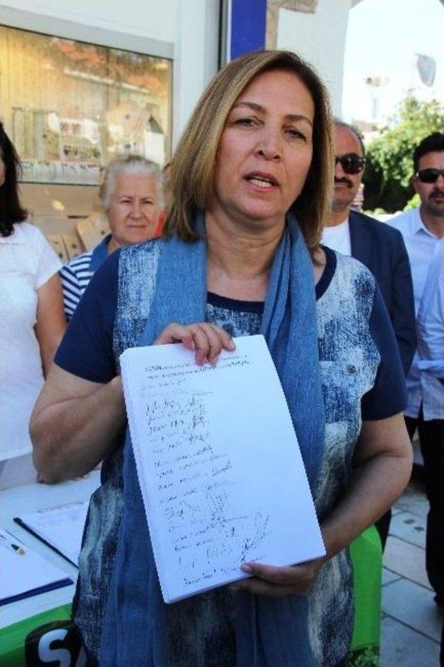 Bodrum Ak Parti 7 Bin Çam İçin Ayağa Kalktı 1