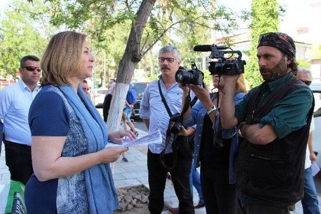 Bodrum Ak Parti 7 Bin Çam İçin Ayağa Kalktı 2