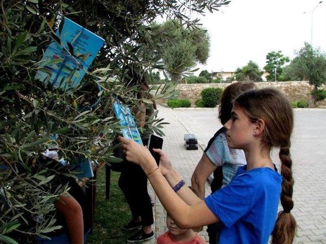 Çocuklar Ulaşsın Diye Ağaçlara Kitap Yerleştirildi 1