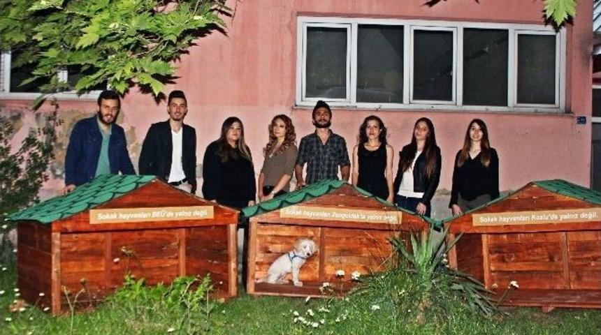 Be&uuml; İktisat B&ouml;l&uuml;m&uuml; &Ouml;ğrencileri Anlamlı Projeye İmza Attı