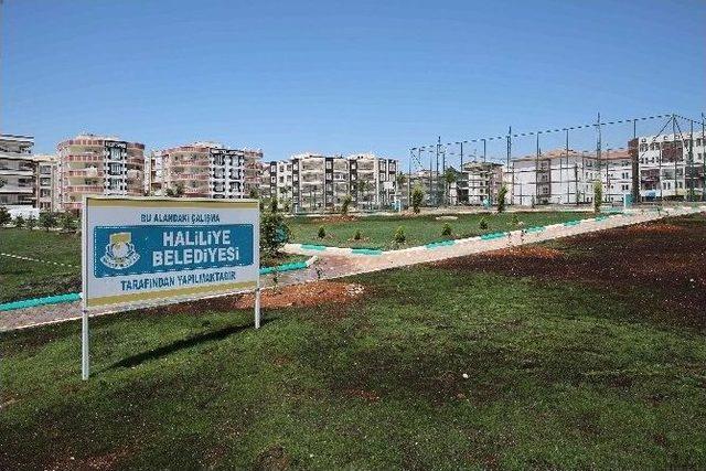 Haliliye&rsquo;de Yeni Yeşil Alanlar Vatandaşlar İ&ccedil;in Hazırlanıyor 2