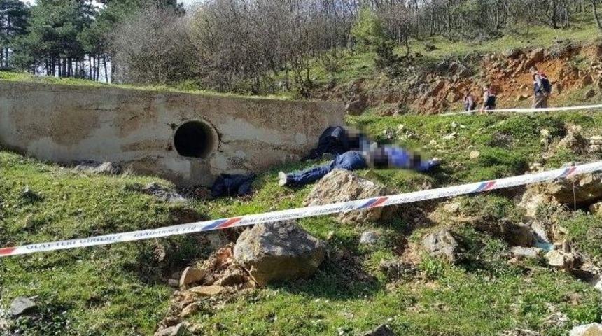 Uludağ Ormanlarındaki &Ccedil;ifte İnfaza &Ccedil;ifte M&uuml;ebbet Talebi