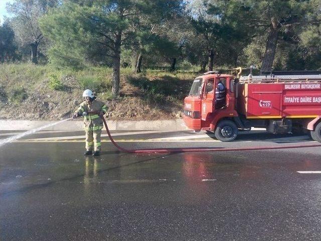 Balıkesir’de Aracın Çarptığı 11 Koyun Telef Oldu