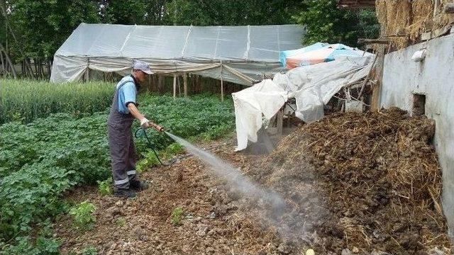 Yazın Gelmesiyle Erbaa’da Haşere Mücadelesi Başladı 1