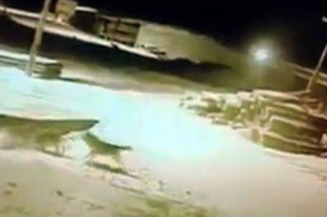 İlçe Merkezine İnen 3 Kurt Güvenlik Kamerasına Yansıdı 1