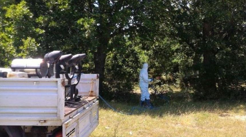 Mesire Alalında Kene M&uuml;cadelesi