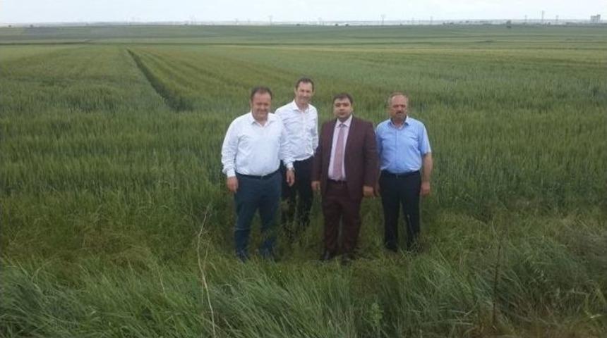 Ahimehmet&rsquo;de Buğday Ve Arpa Demastrasyonu Yapıldı