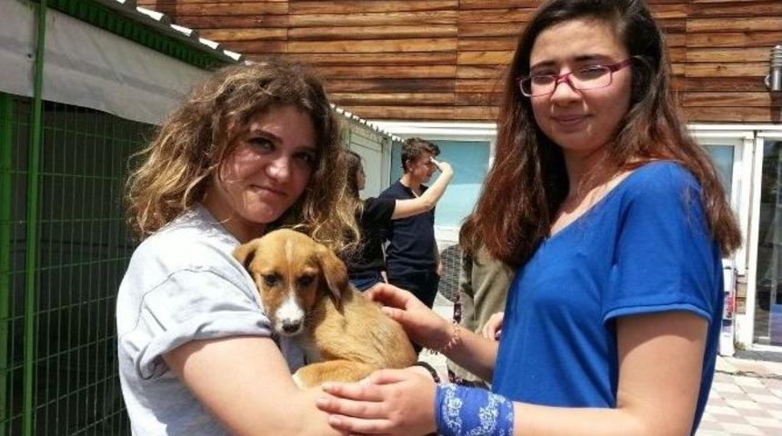 &Ccedil;ocuk Korosu &Uuml;yeleri Doğal Yaşam Merkezi&rsquo;nde