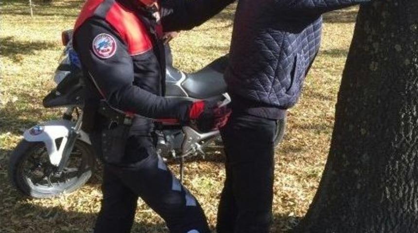 &Ouml;nleyici Hizmetler Su&ccedil;ları &Ouml;nlemeye Devam Ediyor