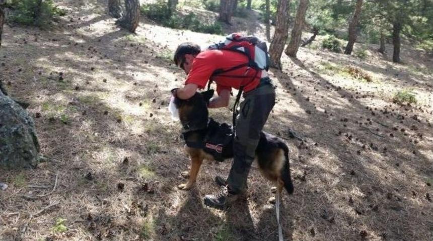 &rsquo;okula Gidiyorum&rsquo; Diyerek Evden &Ccedil;ıktı Ve Kayboldu