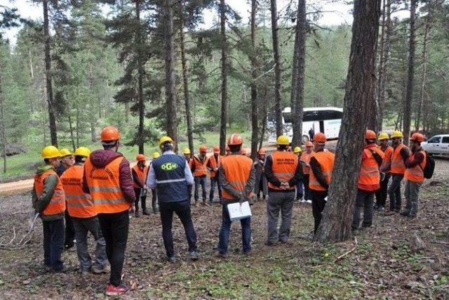 Orman Mühendisliği Bölümü Öğrencileri Düzce’yi Gezdi