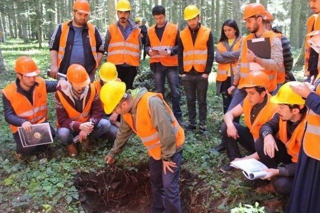 Orman Mühendisliği Bölümü Öğrencileri Düzce’yi Gezdi