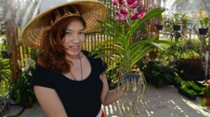 Tayland&rsquo;dan Expo 2016&rsquo;ya &Ouml;zel Orkide