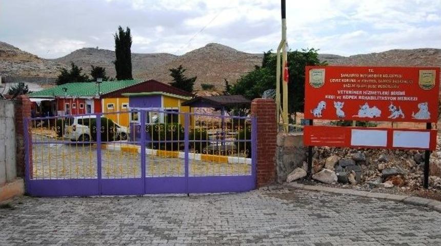 B&uuml;y&uuml;kşehir Belediyesinden Evsiz Hayvanlara Konforlu Hizmet