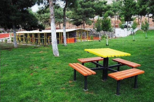 B&uuml;y&uuml;kşehir Belediyesinden Evsiz Hayvanlara Konforlu Hizmet 2