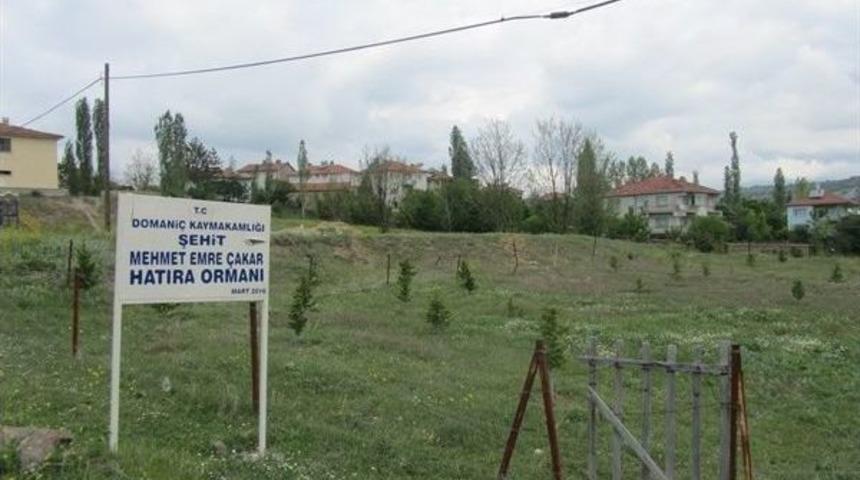 Ter&ouml;r Saldırısında Hayatını Kaybeden K&uuml;tahyalı Gen&ccedil; İ&ccedil;in Hatıra Ormanı Oluşturuldu