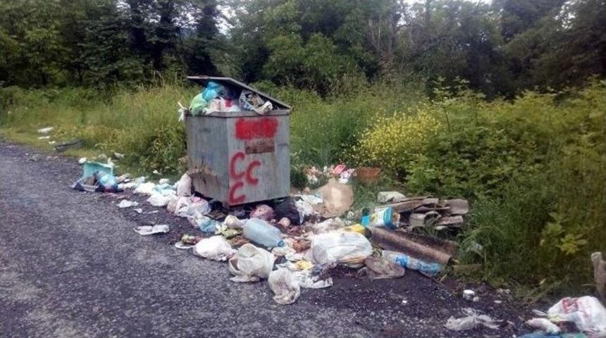 Alaplı K&ouml;ylerinde &Ccedil;&ouml;p Yığını İnsan Sağlığını Tehdit Ediyor!