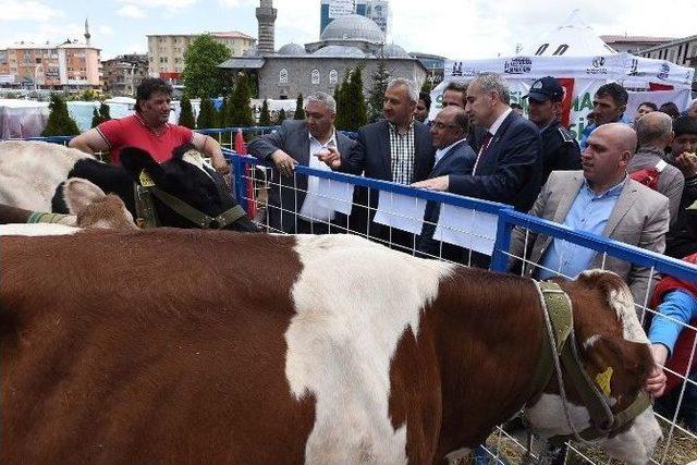 Büyükşehir’den “organik Süt İçme” Etkinliği