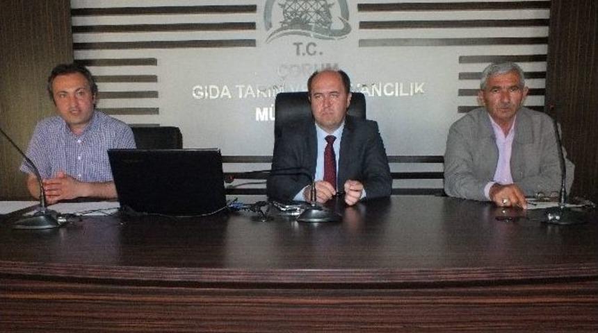 &Ccedil;orum&rsquo;daki Koyun Ve Ke&ccedil;i Yetiştiricileri Bilgilendirildi