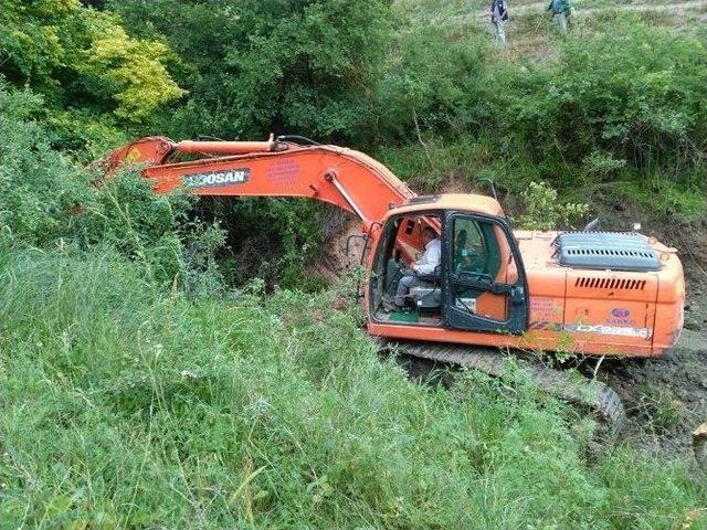 Dereye Düşen İnek Kepçeyle Kurtarıldı 1