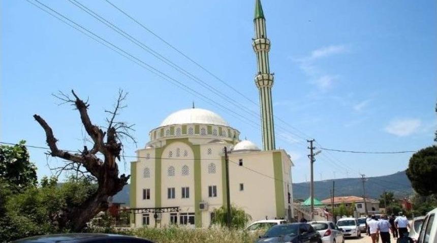 Fo&ccedil;a Gencerli Yıldız Camii T&ouml;renle Hizmete A&ccedil;ıldı