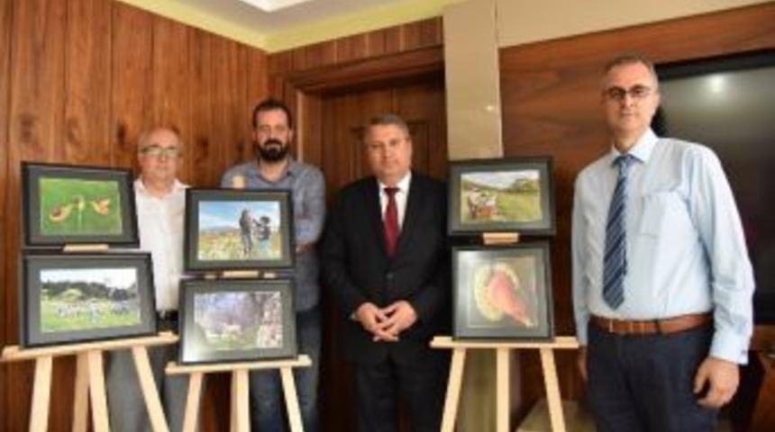 Fotoğraf Yarışmasının Galipleri Belli Oldu