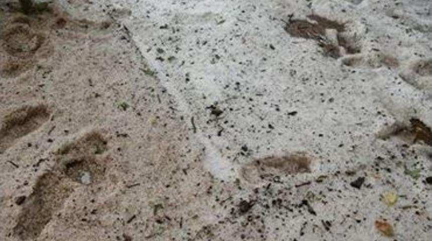 Orhaneli Beyaza B&uuml;r&uuml;nd&uuml;