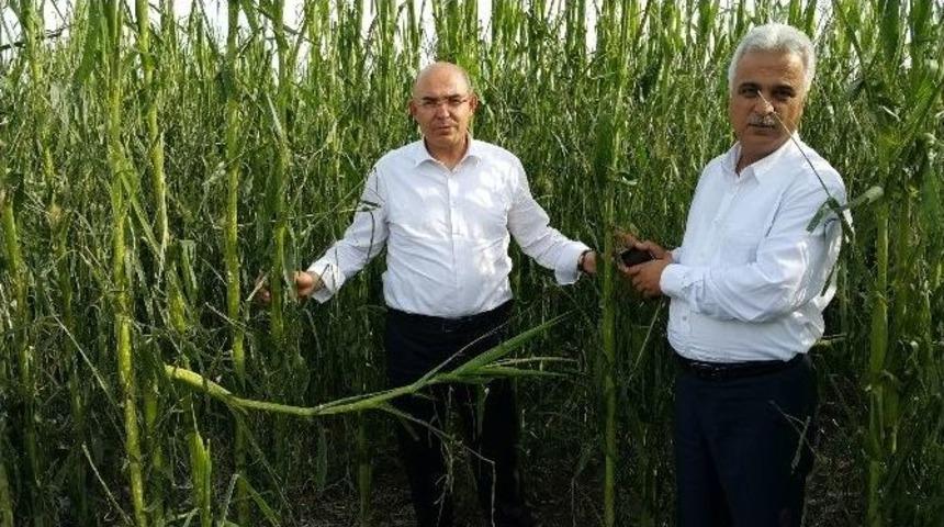 Karakaya: &ldquo;bunun Adı Doğal Afet&rdquo;