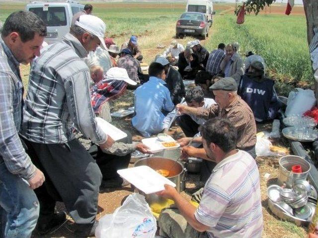 Sarımsak Hasadı 10 Bin Tarım İş&ccedil;isine İş İmkanı Sağlıyor 1