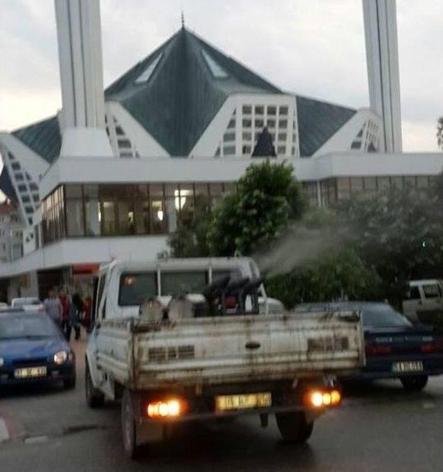 Ak&ccedil;akoca G&uuml;l Suyu Kokuyor 1