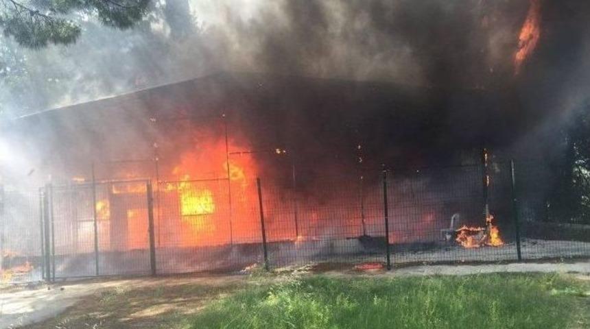 Ormanlık Alandaki Tesiste &Ccedil;ıkan Yangın Korkuttu