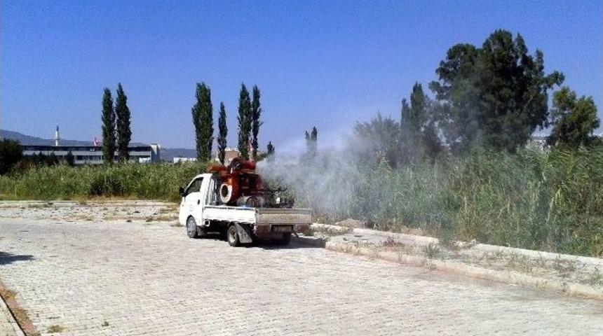 Germencik&rsquo;te Sivrisinek Olmayacak