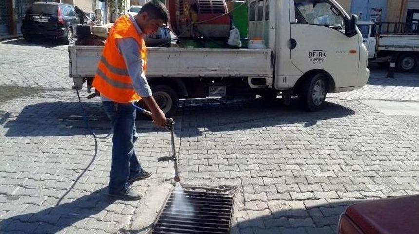 Germencik Belediyesi Haşerelerle M&uuml;cadelede Hız Kesmiyor