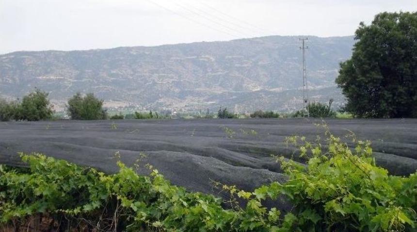 Sarıg&ouml;l&rsquo;de 5 Bin Dekar Alan Doludan Zarar G&ouml;rd&uuml;