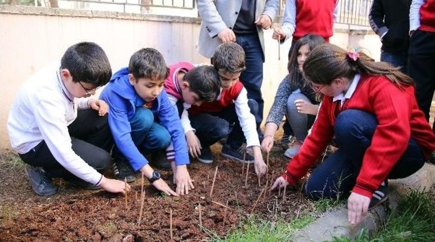Yeşeren Kalemler Toprakla Buluştu