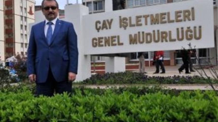 Erzurum&rsquo;da T&uuml;rk &Ccedil;ayı Tanıtım Etkinlikleri D&uuml;zenlenecek