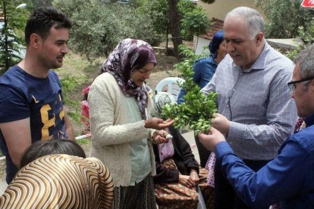 Manisa&rsquo;nın İlk K&ouml;y Pazarı Salihli&rsquo;de A&ccedil;ıldı