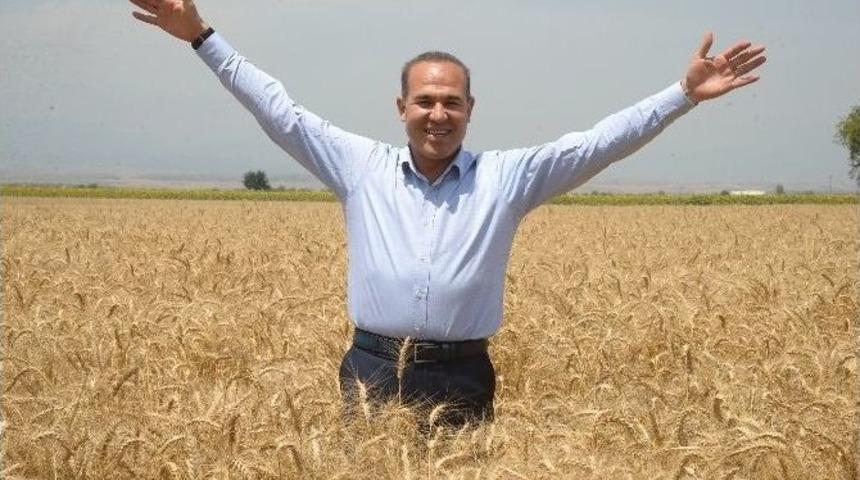 İmamoğlu&rsquo;nda Buğday Hasat G&uuml;n&uuml;