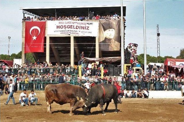 Boğa Güreşlerini İzlemek İçin Binlerce Kişi Arenayı Doldurdu