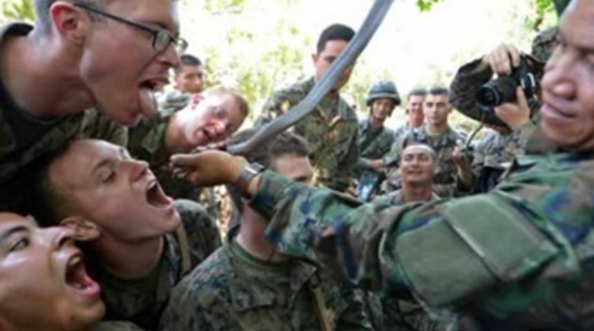 Kobra kanı i&ccedil;ip canlı tavuk yiyorlar!