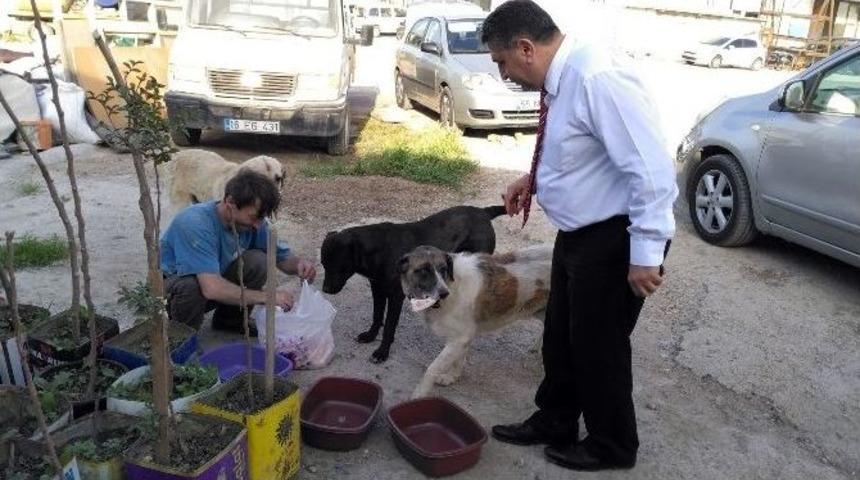 Savcının Hayvan Sevgisi