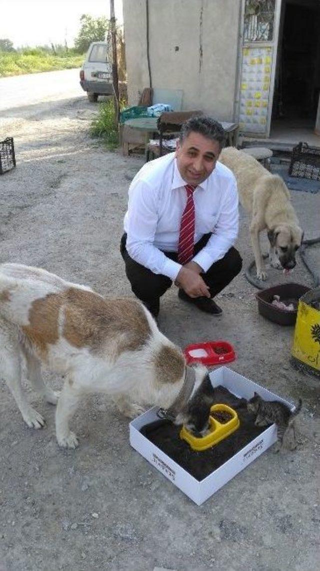 Savcının Hayvan Sevgisi 1