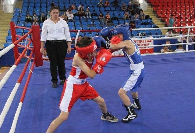 Boksörler Çelikiz’in Anısına Buluştu