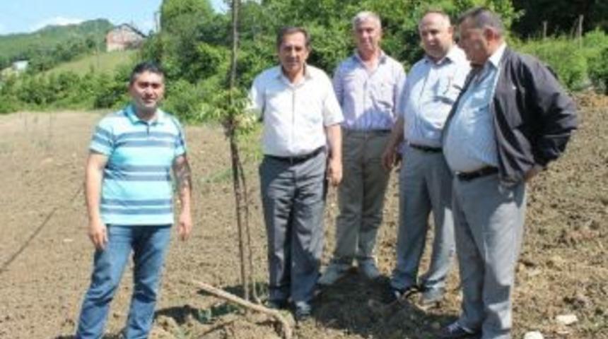 Bayram, Demonstrasyon Ceviz Bah&ccedil;esini Gezdi