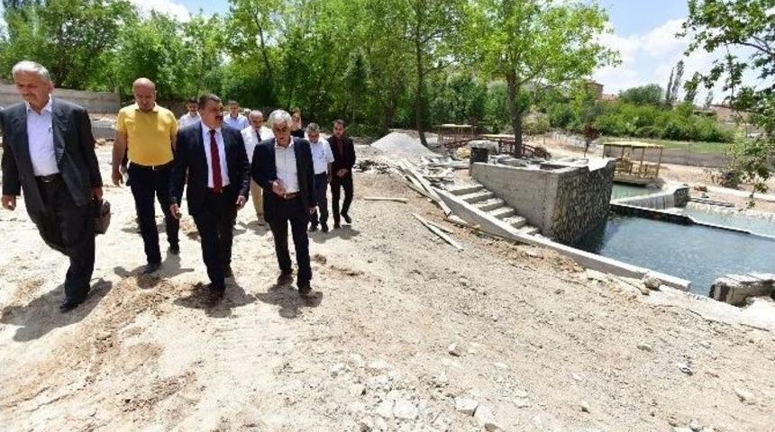 Tarihi &Ccedil;ınar Projesi&rsquo;nde &Ccedil;alışmalar Devam Ediyor