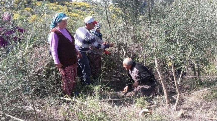 Orman Ve Su İşleri Bakanlığı&rsquo;ndan Orman K&ouml;yl&uuml;s&uuml;ne Destek