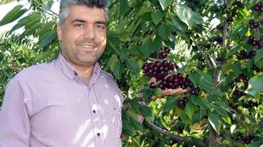 Salihli Kirazı &Ccedil;in&rsquo;in Ağzını Tatlandıracak