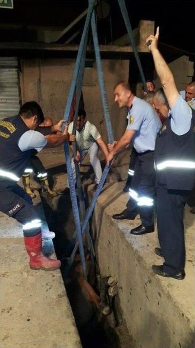 Mersin&rsquo;de Yıkama-yağlama &Ccedil;ukuruna D&uuml;şen Atı İtfaiye Kurtardı 2