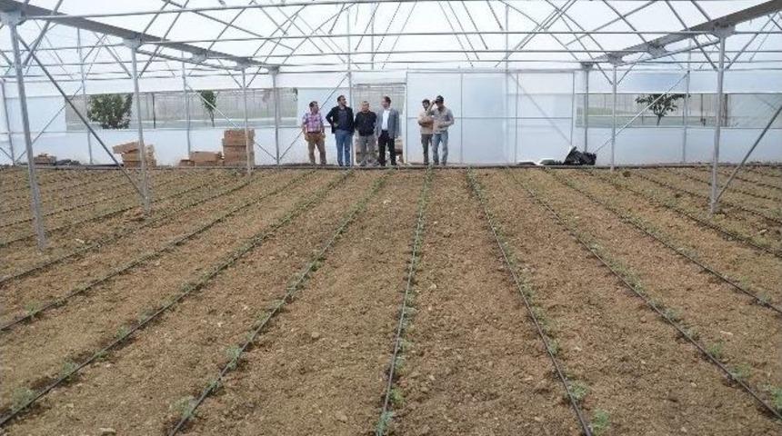 Tokat&rsquo;ta Seracılık Gelişiyor